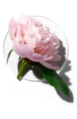 Clinique My Happy Peony Picnic